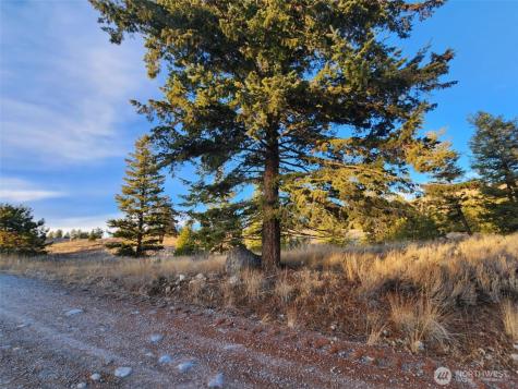 0 Blue Grouse (Div 5, Lot 42) Oroville WA 98844