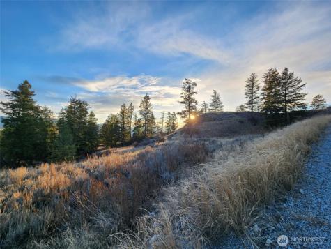 0 Blue Grouse (Div 5, Lot 42) Oroville WA 98844