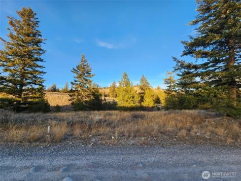 0 Blue Grouse (Div 5, Lot 42) Oroville WA 98844