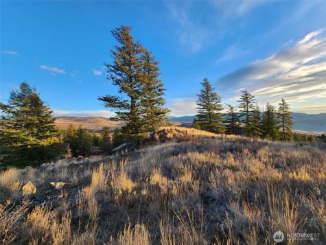 0 Blue Grouse (Div 5, Lot 42) Oroville WA 98844