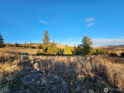 0 Blue Grouse (Div 5, Lot 42) Oroville WA 98844