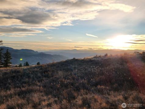 0 Blue Grouse (Div 5, Lot 42) Oroville WA 98844