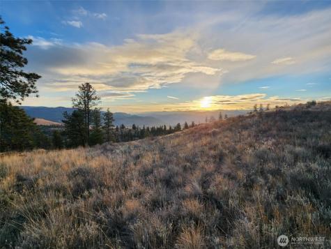 0 Blue Grouse (Div 5, Lot 42) Oroville WA 98844