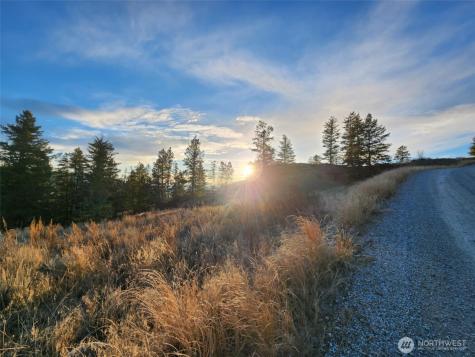 0 Blue Grouse (Div 5, Lot 42) Oroville WA 98844