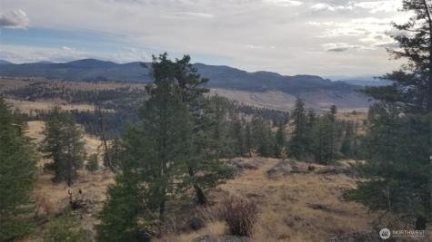 0 Blue Grouse (Div 5, Lot 42) Oroville WA 98844