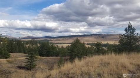 0 Blue Grouse (Div 5, Lot 42) Oroville WA 98844