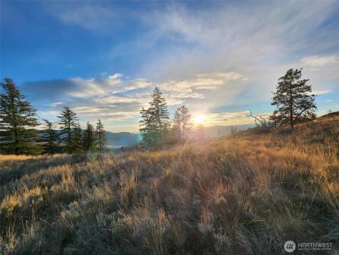 0 Blue Grouse (Div 5, Lot 42) Oroville WA 98844