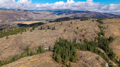 0 Tbd Pharr Out - 12 Way Omak WA 98841