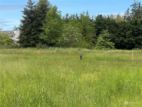 999 Savanana Soleil Way Sequim WA 98382