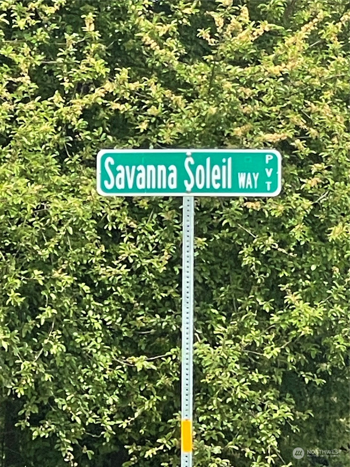 999 Savanana Soleil Way Sequim WA 98382