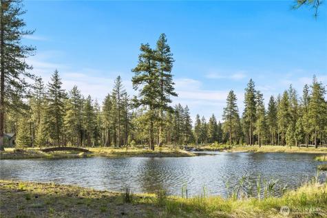 105 Wanawish Loop Cle Elum WA 98922