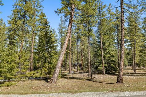 105 Wanawish Loop Cle Elum WA 98922