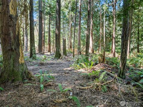 14925 Olympic View Loop Road NW Silverdale WA 98383