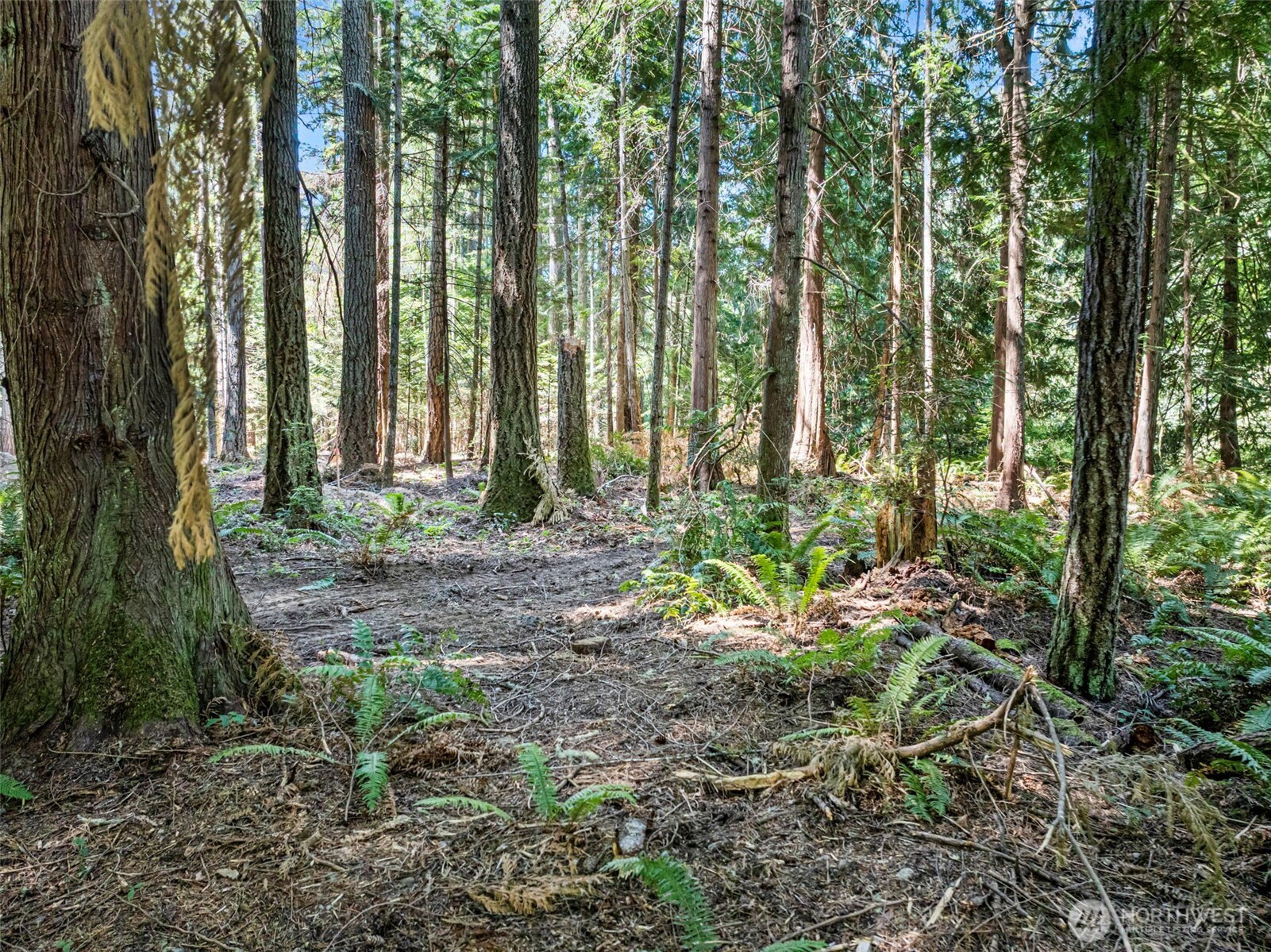 14925 Olympic View Loop Road NW Silverdale WA 98383