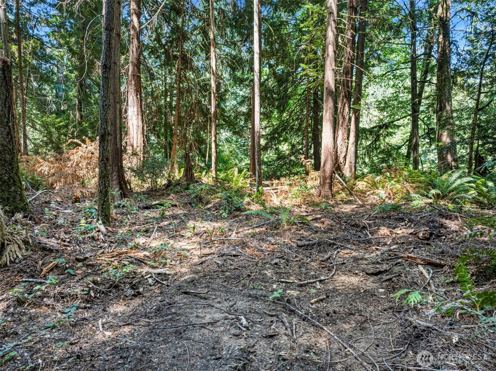 14925 Olympic View Loop Road NW Silverdale WA 98383