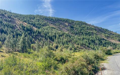 10558 Mud Creek Road Entiat WA 98822