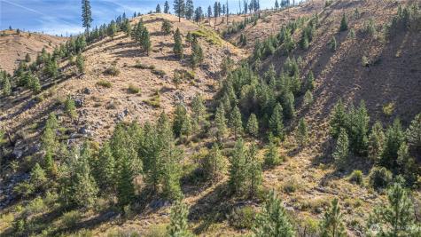 10558 Mud Creek Road Entiat WA 98822