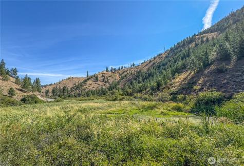 10558 Mud Creek Road Entiat WA 98822