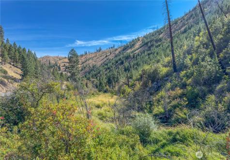 10558 Mud Creek Road Entiat WA 98822