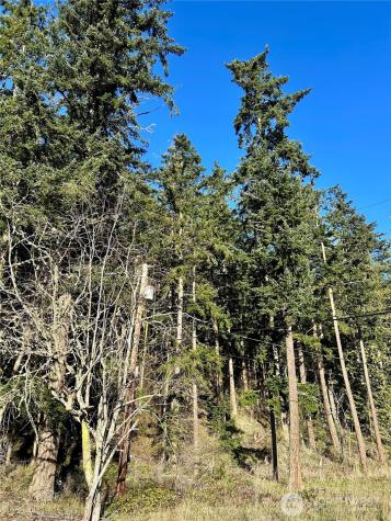 55 Vancouver Place Port Townsend WA 98368