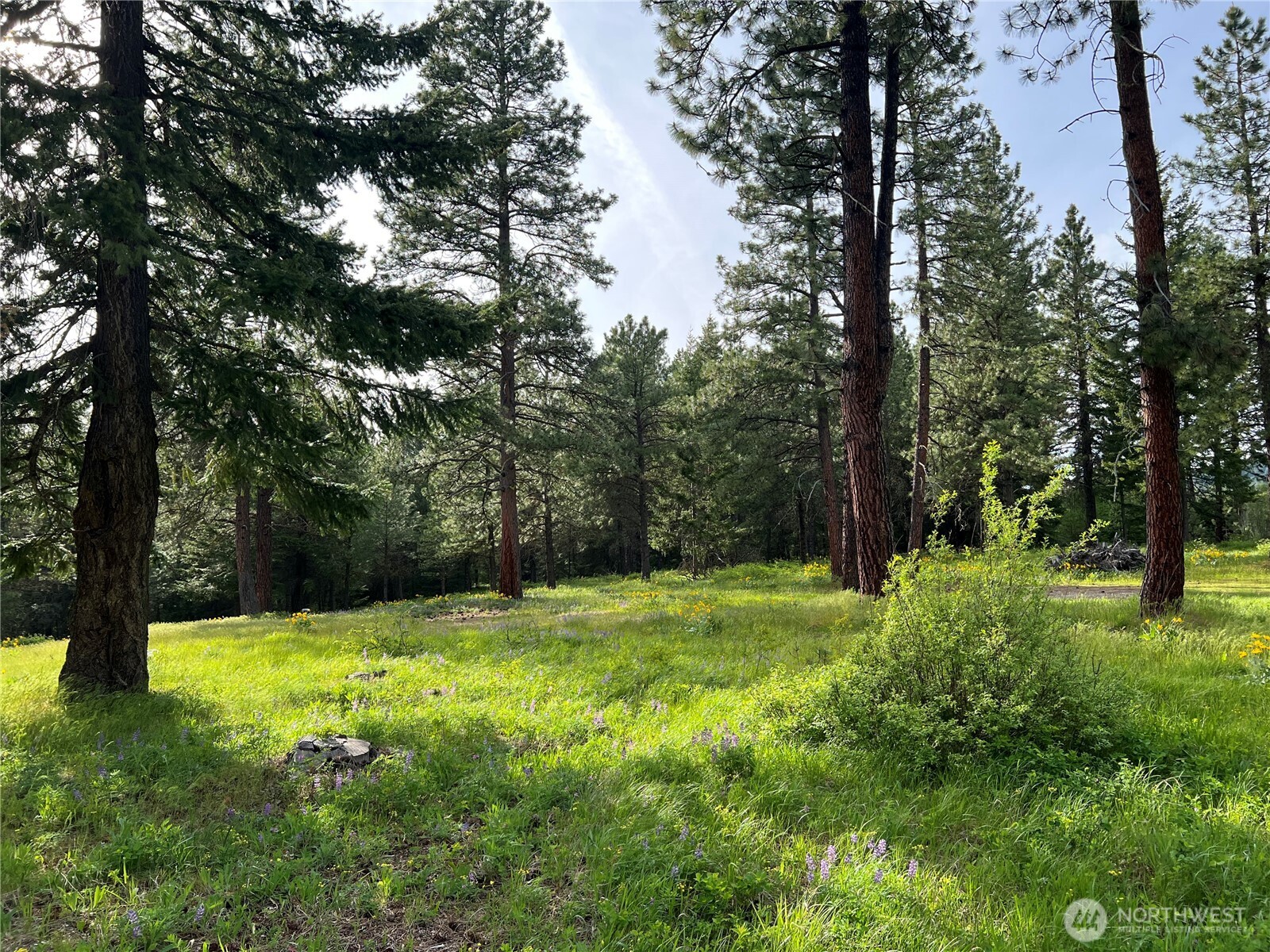 740 Sun Ridge Drive Cle Elum WA 98922