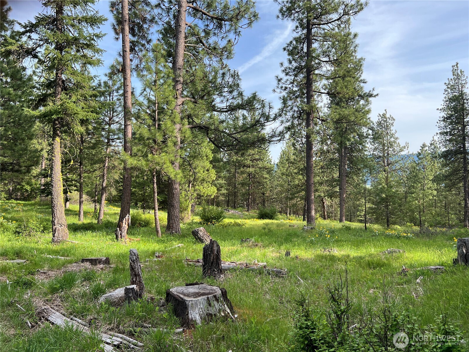 740 Sun Ridge Drive Cle Elum WA 98922