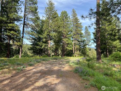740 Sun Ridge Drive Cle Elum WA 98922