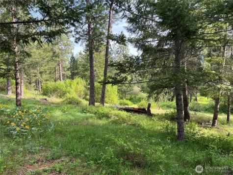 740 Sun Ridge Drive Cle Elum WA 98922