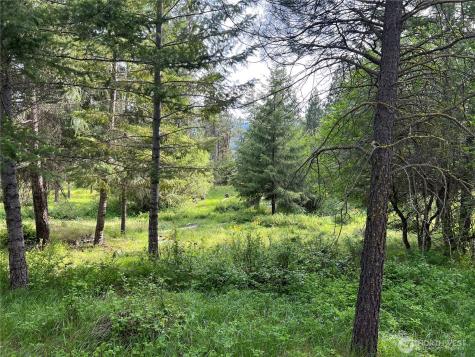 740 Sun Ridge Drive Cle Elum WA 98922