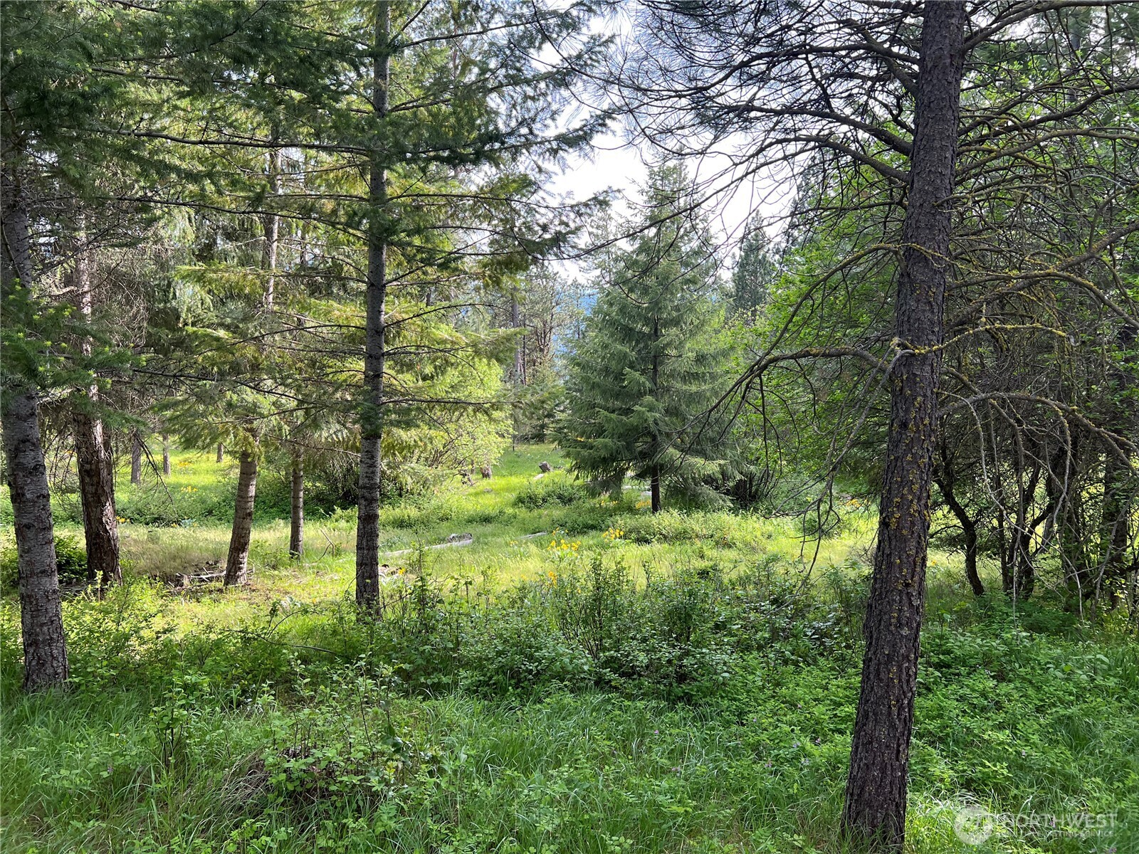 740 Sun Ridge Drive Cle Elum WA 98922