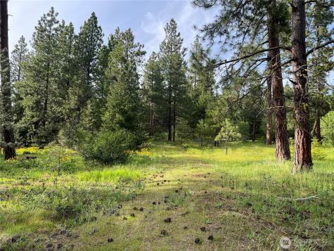 740 Sun Ridge Drive Cle Elum WA 98922