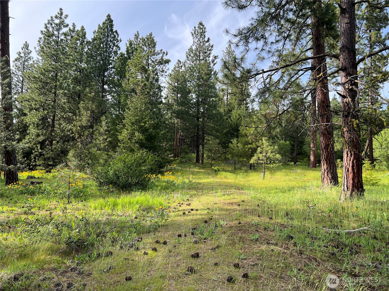 740 Sun Ridge Drive Cle Elum WA 98922