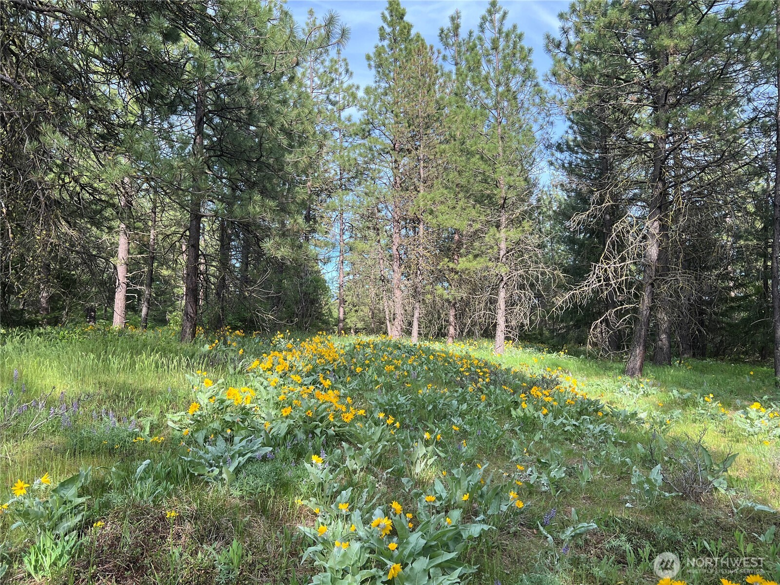 740 Sun Ridge Drive Cle Elum WA 98922