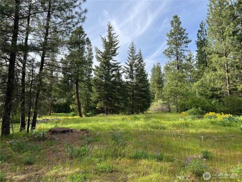 740 Sun Ridge Drive Cle Elum WA 98922