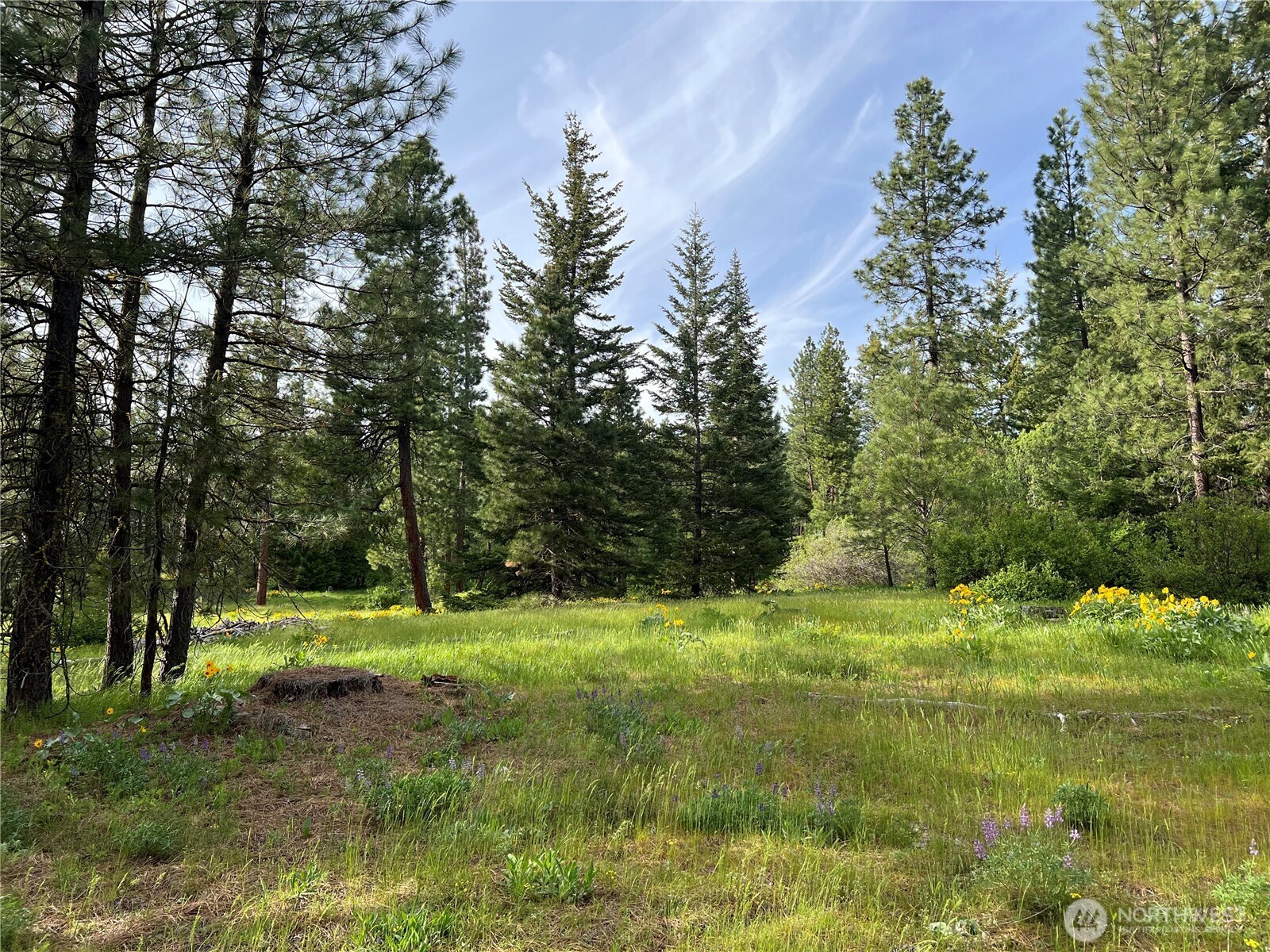 740 Sun Ridge Drive Cle Elum WA 98922