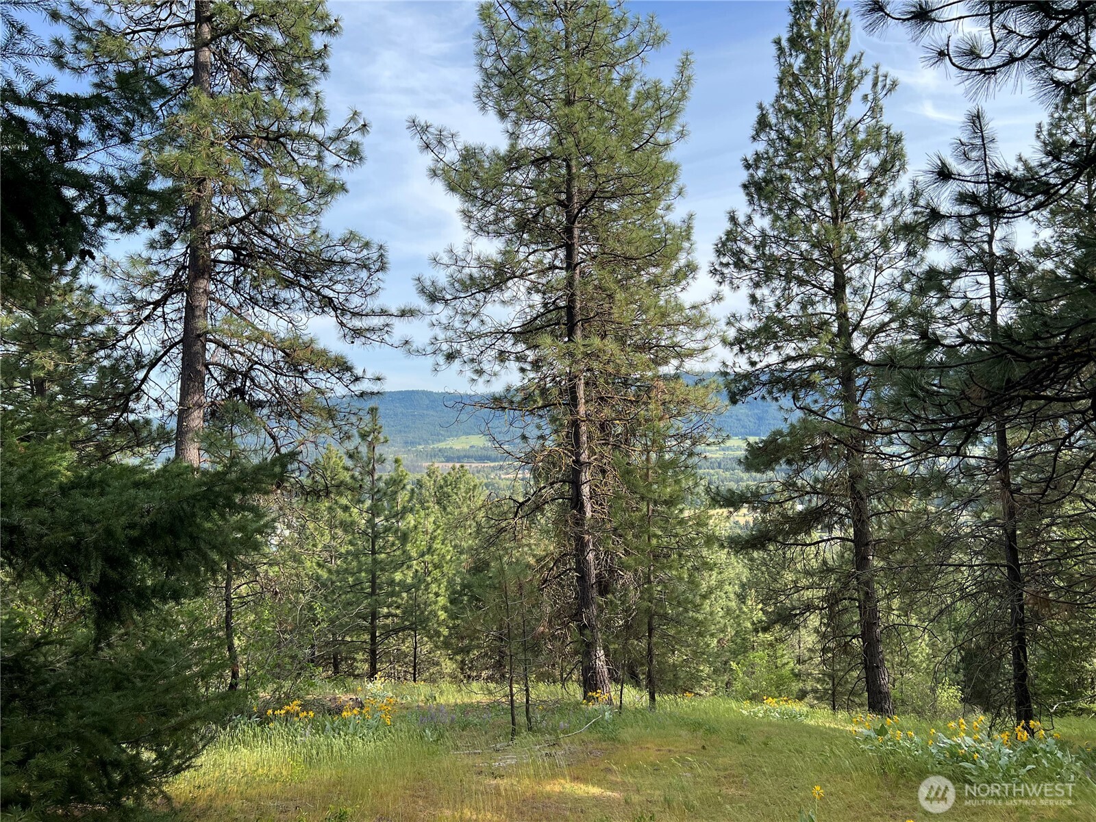 740 Sun Ridge Drive Cle Elum WA 98922