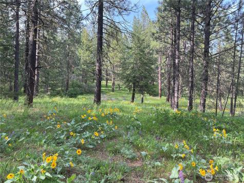 740 Sun Ridge Drive Cle Elum WA 98922