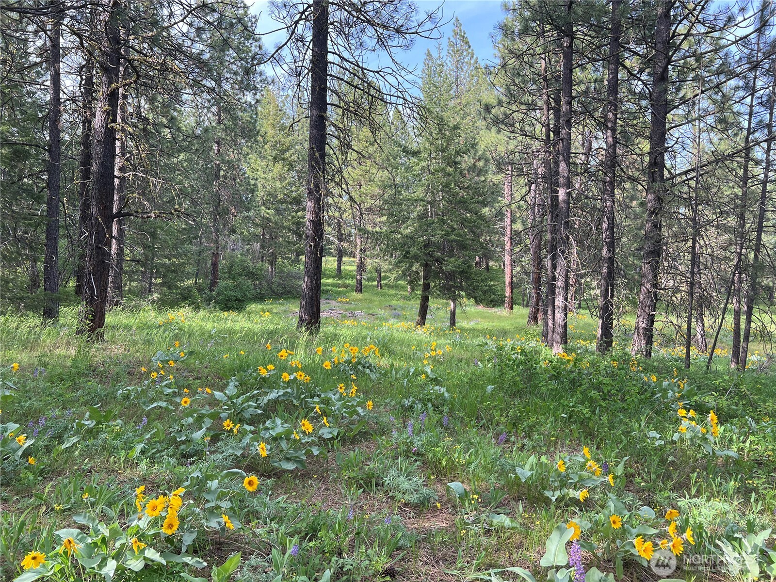 740 Sun Ridge Drive Cle Elum WA 98922