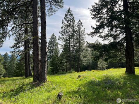 740 Sun Ridge Drive Cle Elum WA 98922
