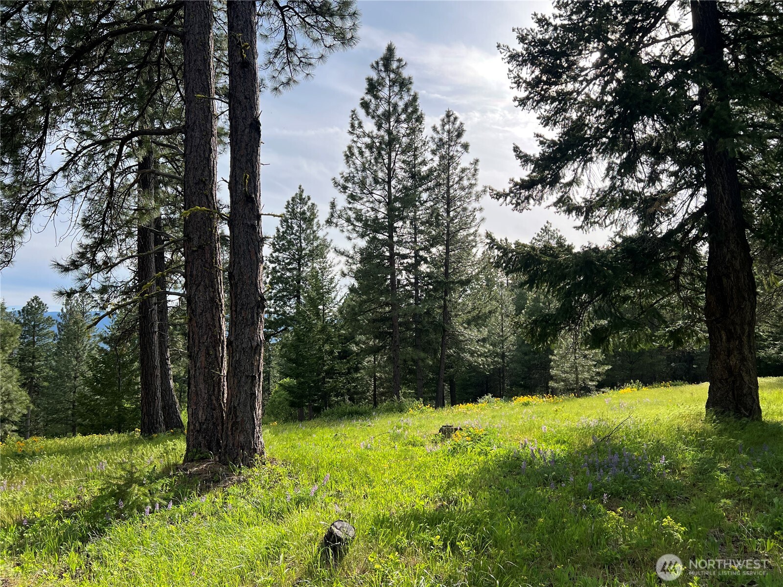 740 Sun Ridge Drive Cle Elum WA 98922