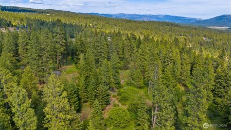 740 Sun Ridge Drive Cle Elum WA 98922