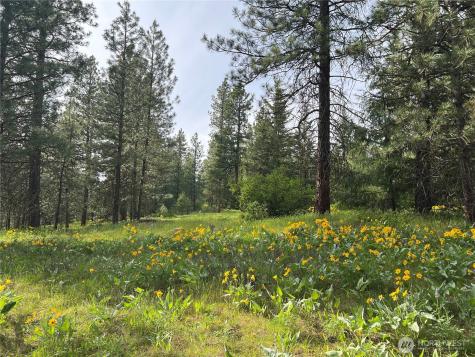 740 Sun Ridge Drive Cle Elum WA 98922