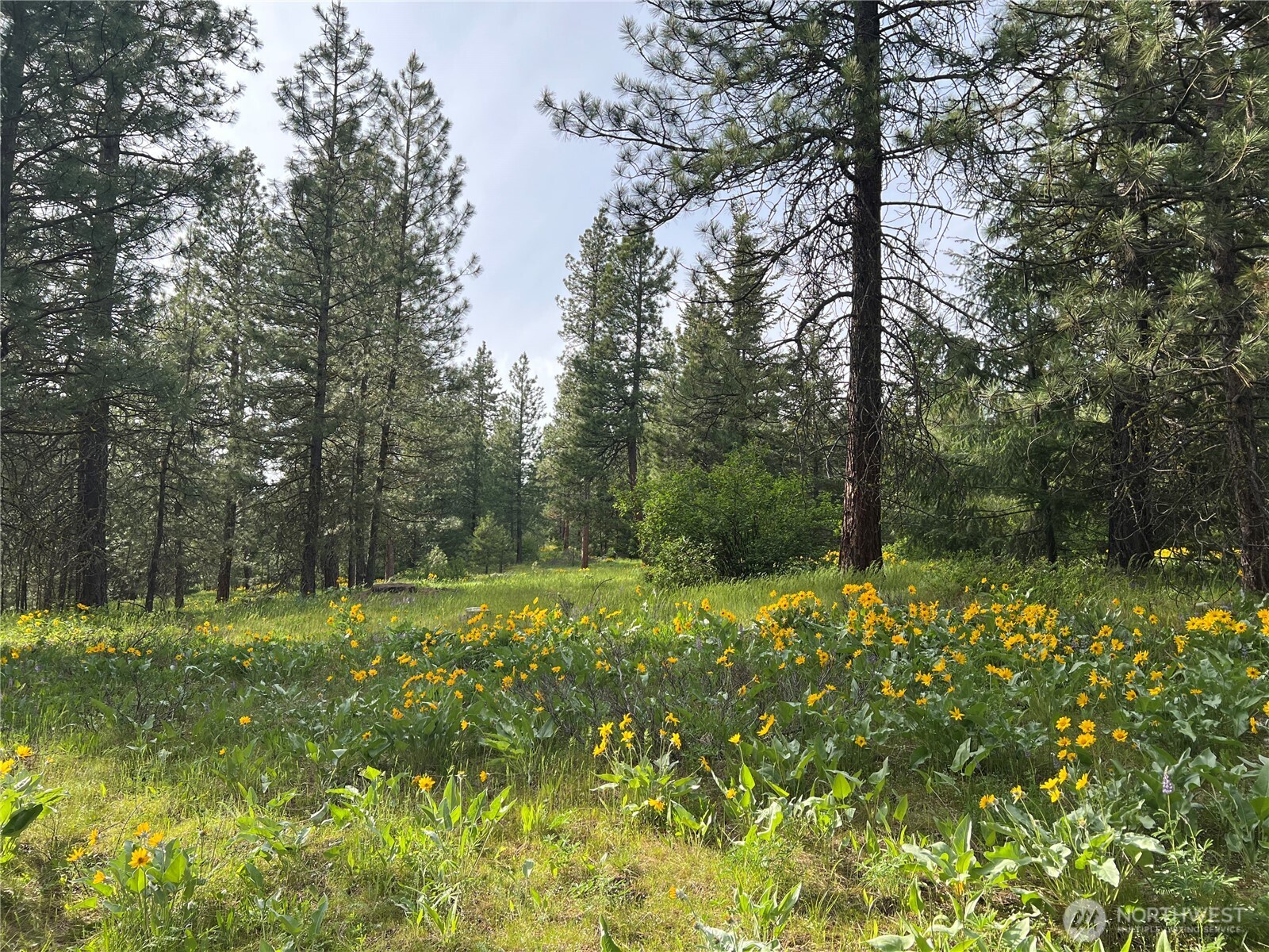 740 Sun Ridge Drive Cle Elum WA 98922