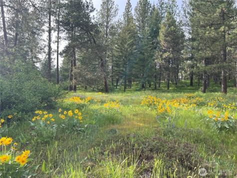 740 Sun Ridge Drive Cle Elum WA 98922