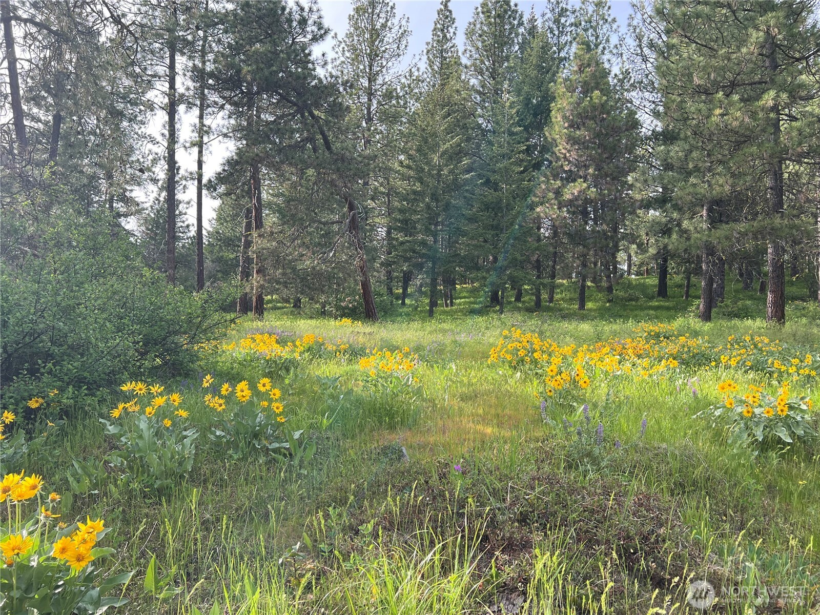 740 Sun Ridge Drive Cle Elum WA 98922