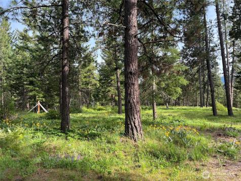 740 Sun Ridge Drive Cle Elum WA 98922