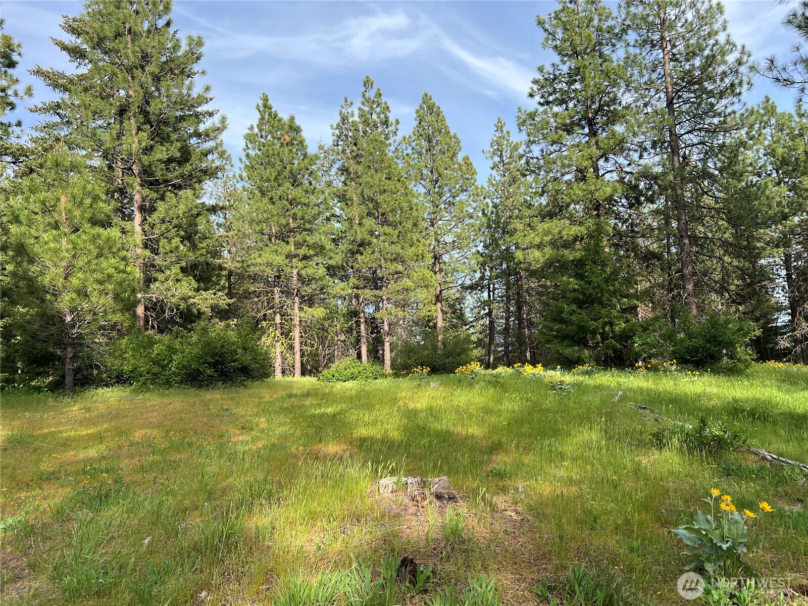 740 Sun Ridge Drive Cle Elum WA 98922