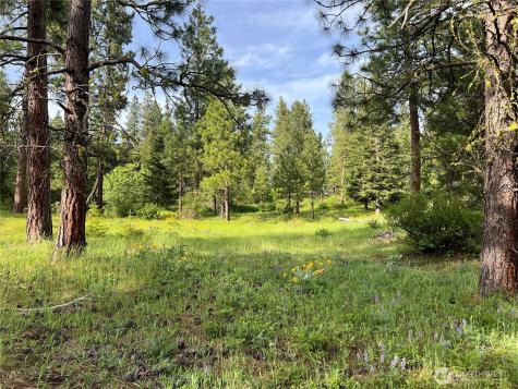 740 Sun Ridge Drive Cle Elum WA 98922