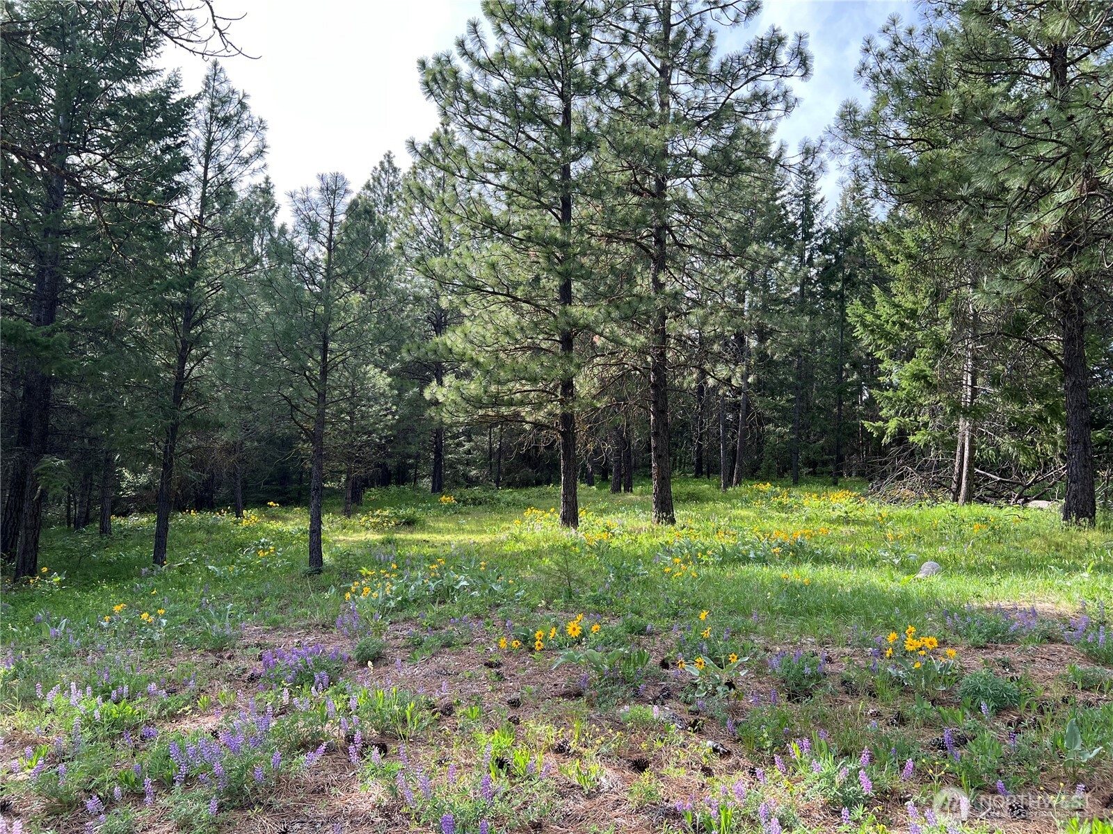 740 Sun Ridge Drive Cle Elum WA 98922