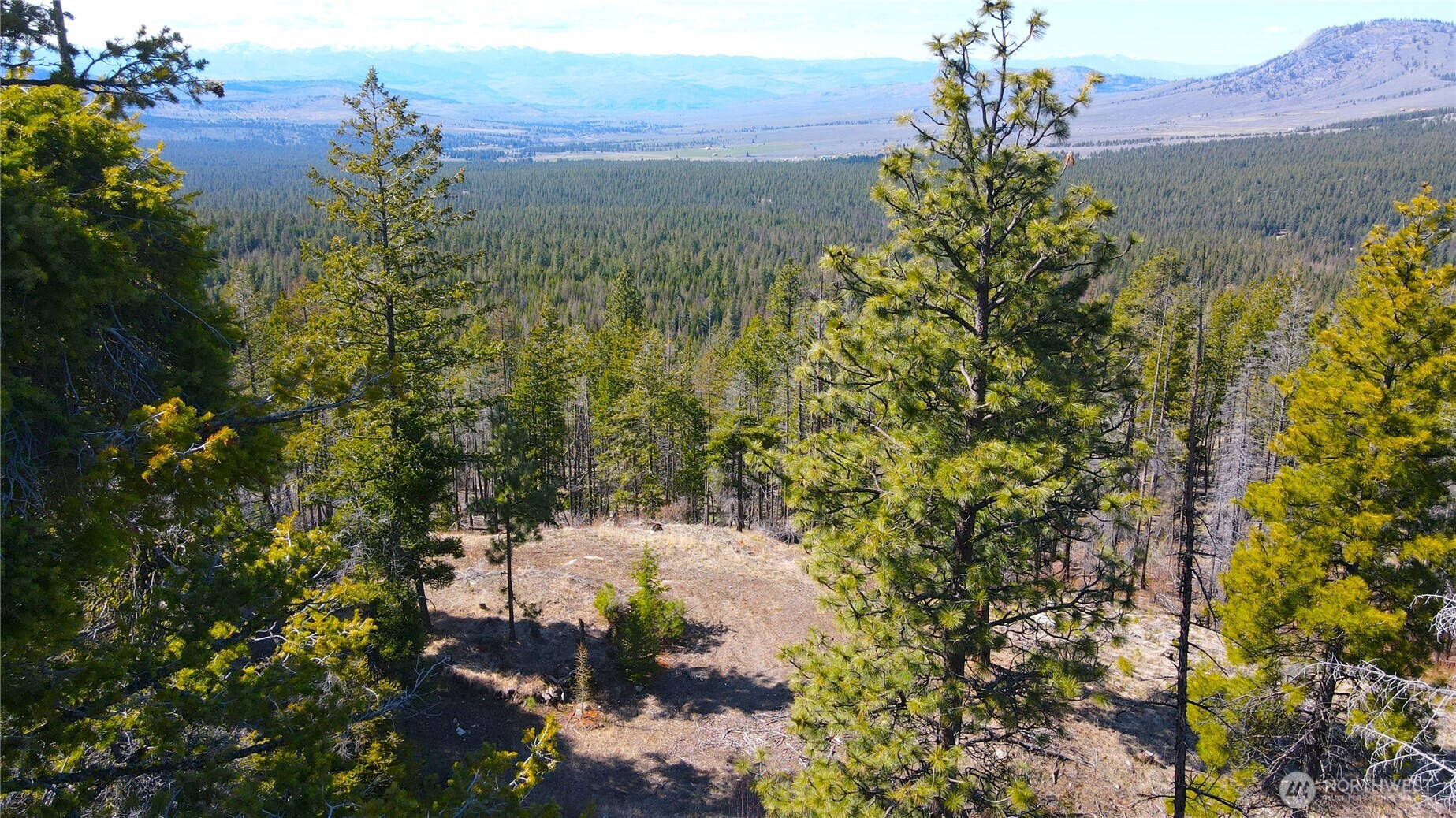 32 Twin Creeks Ranch Riverside WA 98849